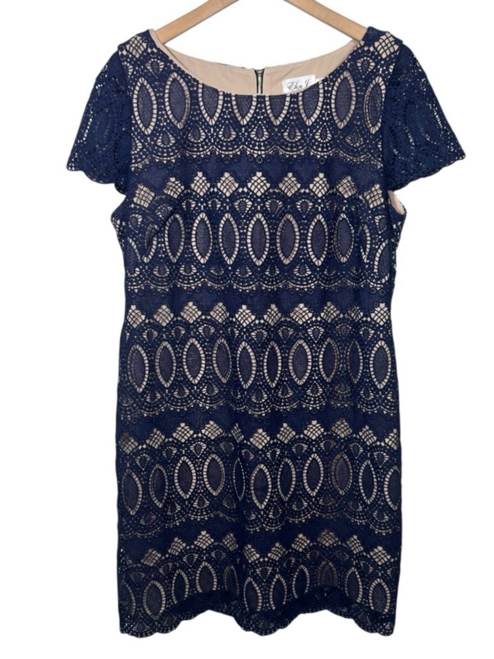Eliza J Navy with Beige Lining Cap Sleeve Dress